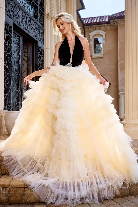 women's machine-washable dressesPortia and Scarlett PS24681 Formal Feathered Long Prom Dress